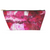 Magenta Madness Accessory Pouch